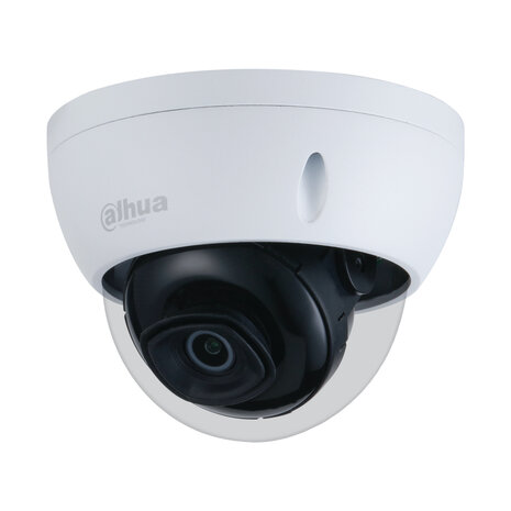 Dahua Ip starlight camera systeem